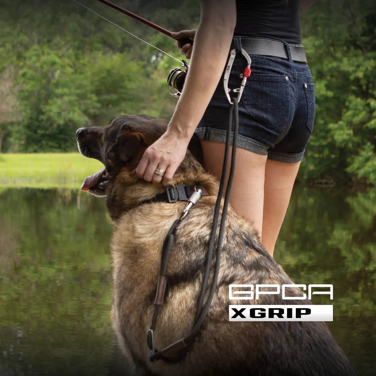 Dog leash set in use; black leash with gray clip and red adjuster on pet collar.