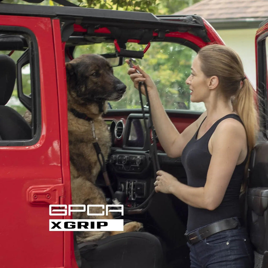 Dog leash set in use with a handler; black leash and gray clip near pet.