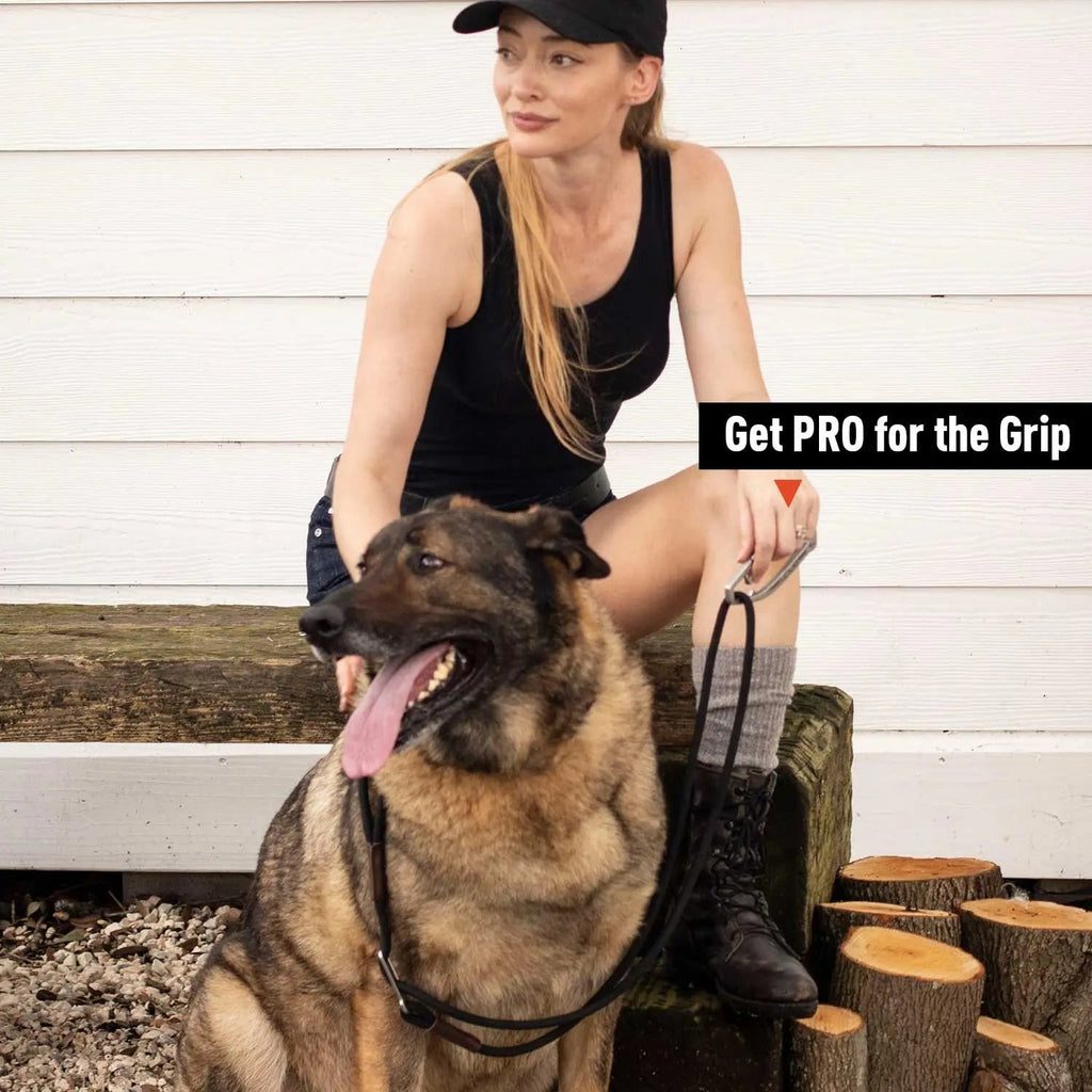 Hands-free dog leash belt with dog leash and black harness clip