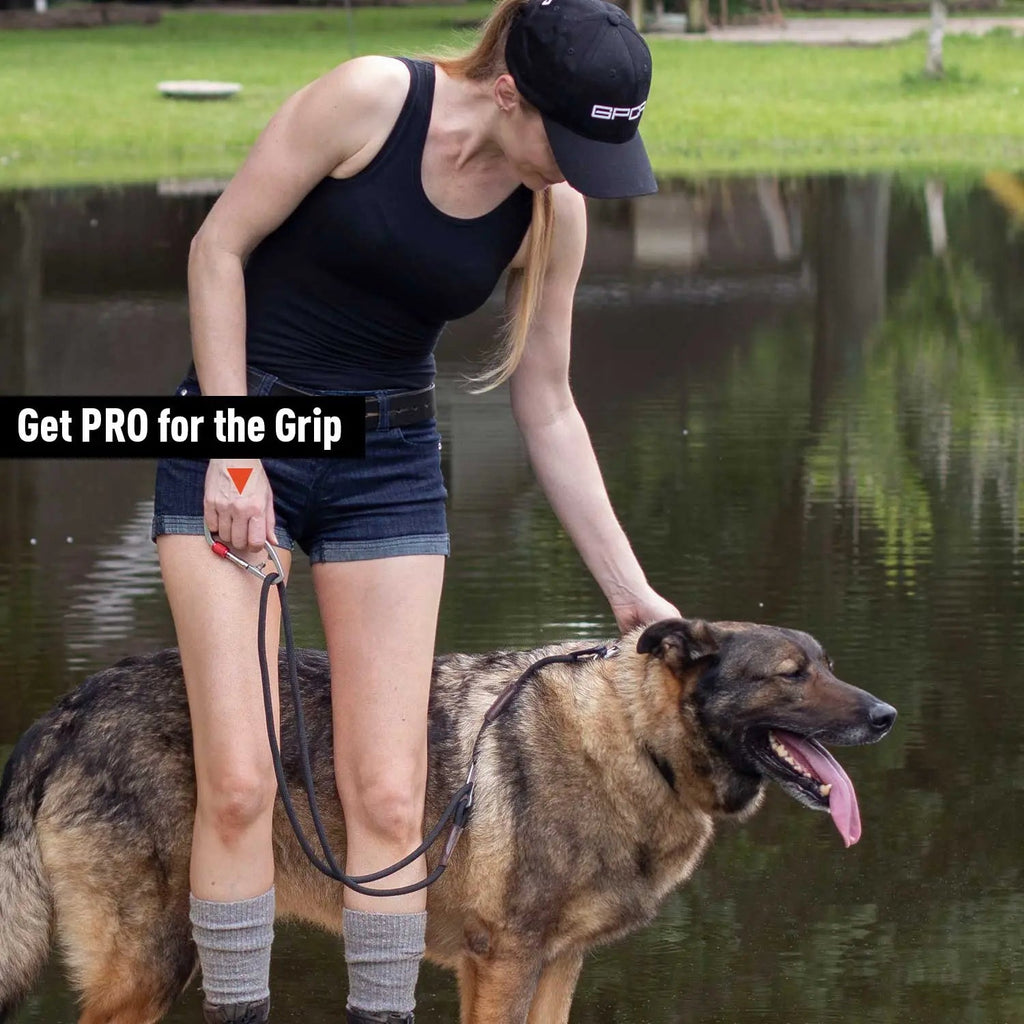 Dog leash set with black leash and hands-free belt on walker by water