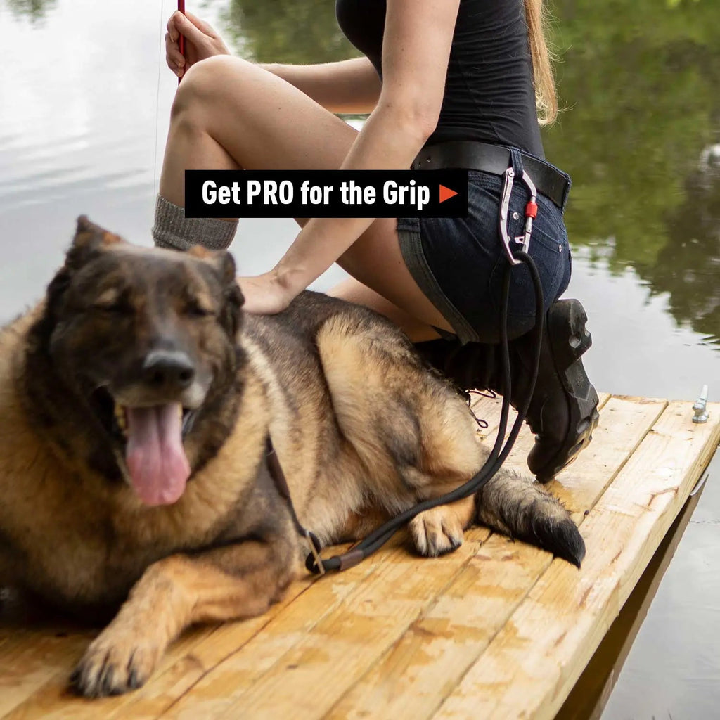 Hands-free dog leash belt with black straps and leash, buckles and rings