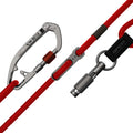 Red dog leash set with grey hardware, padded red grip, and snap hook