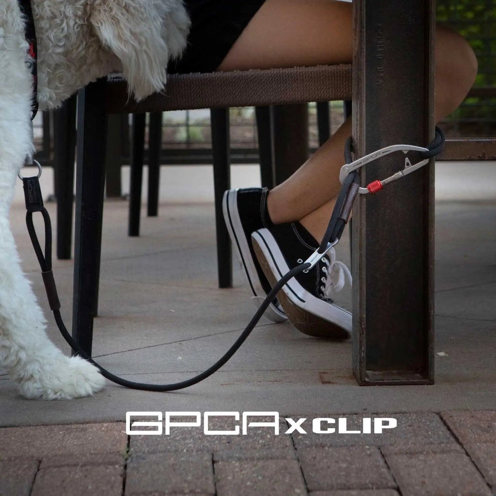 Dog leash with gray clip and black strap hanging from a chair, red indicator bead.