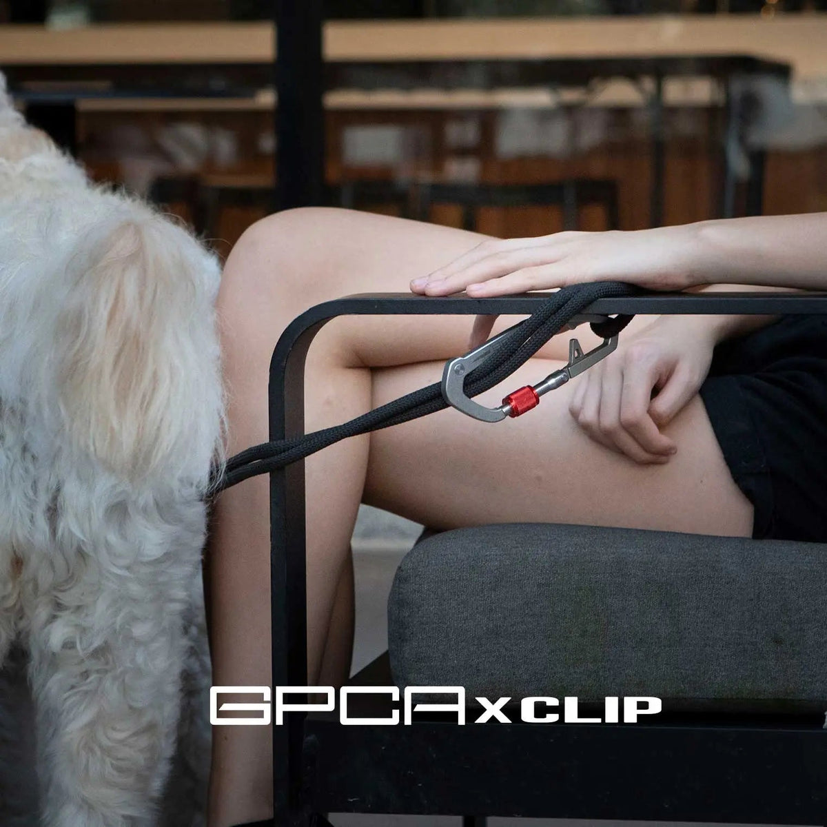 Dog leash set with black clip and webbing strap, shown near seated person