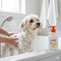 Antiseptic pet shampoo bottle with orange pump, white label for dogs and cats