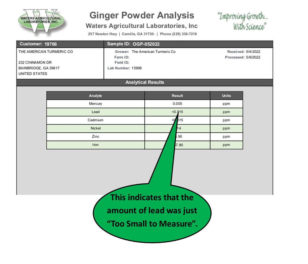 Ginger powder lab analysis report with results table and highlighted lead note