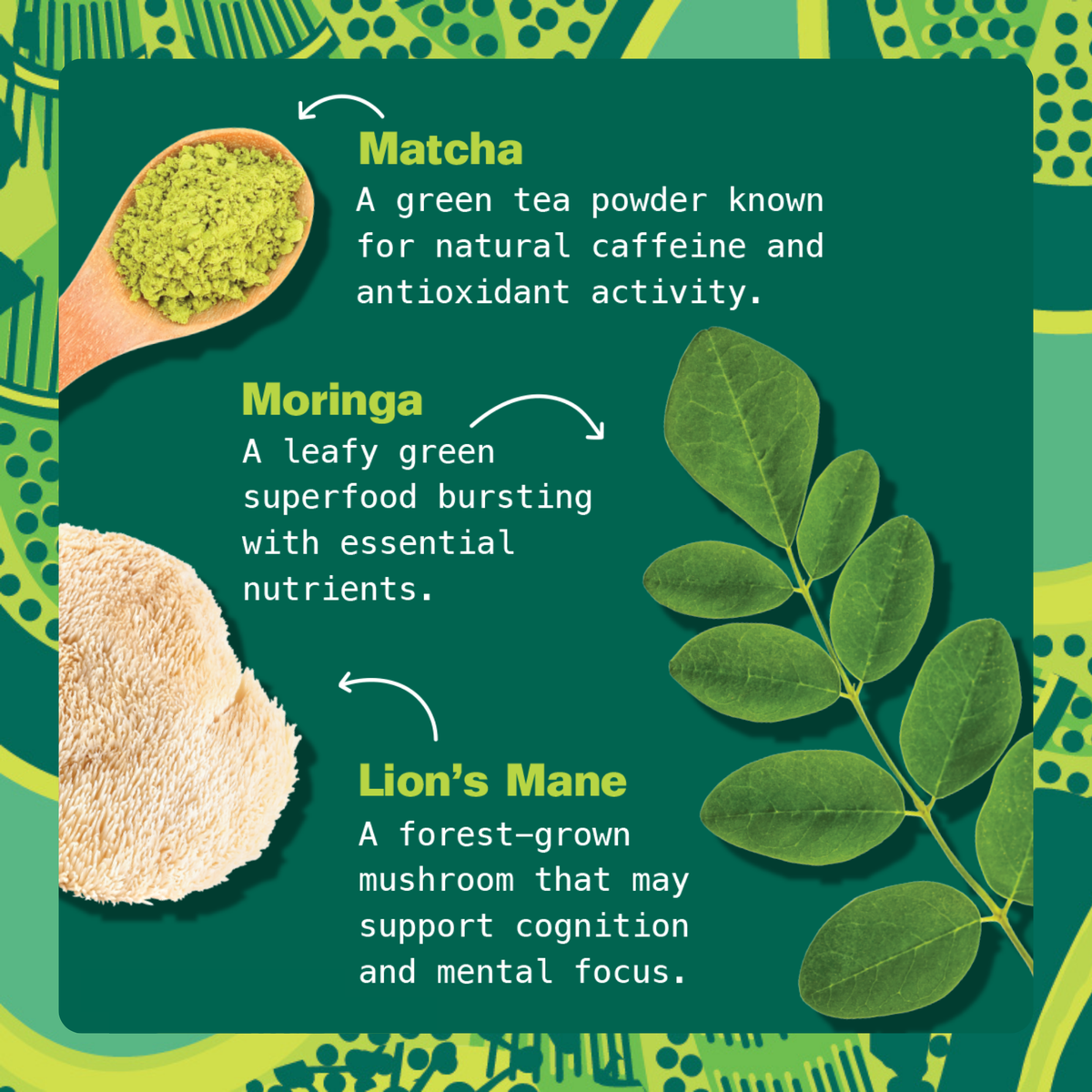 Infographic of matcha, moringa leaves, and lion's mane ingredients on green panel