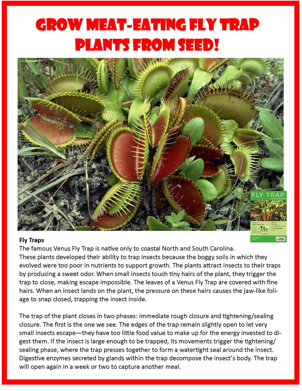 Frightening Flytraps instruction sheet with a close-up photo of Venus flytraps and growing information