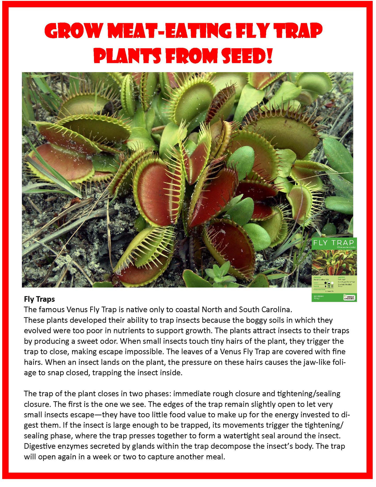 Flytrap seed information panel with a close-up of open carnivorous plant traps