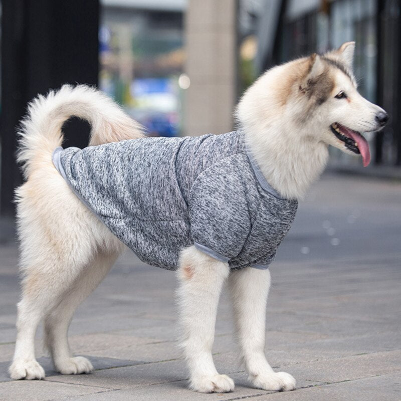 Gray winter pet sweater with high collar and long sleeves, heather knit dog pullover