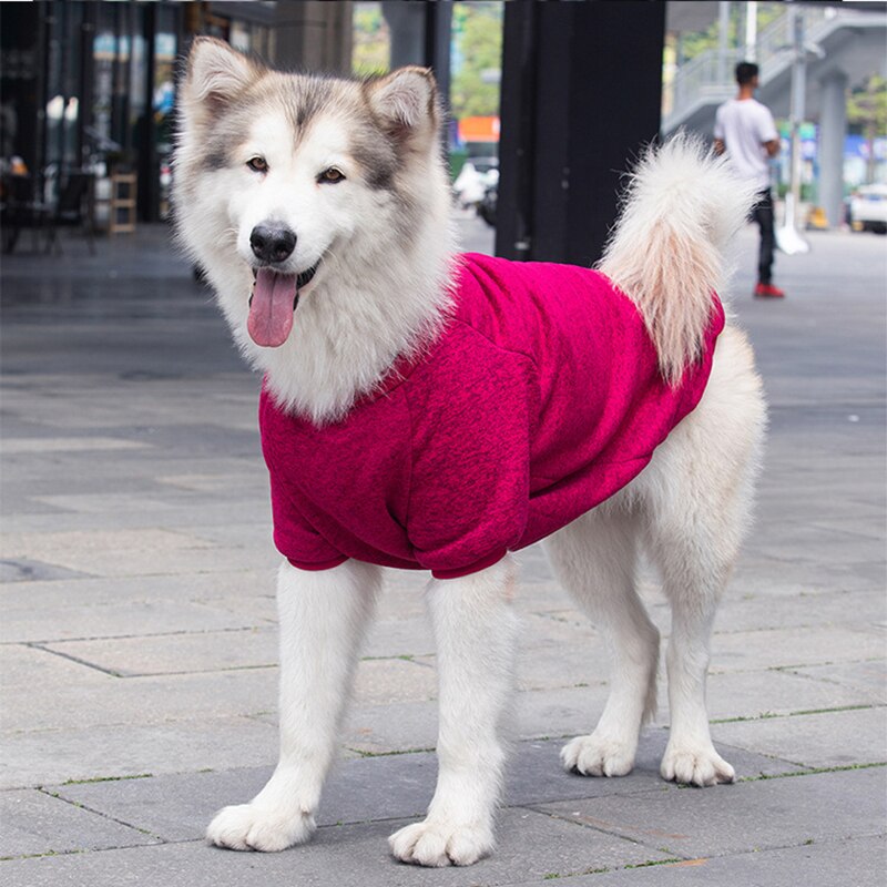Burgundy winter pet sweater with high collar and long sleeves, warm knit pullover