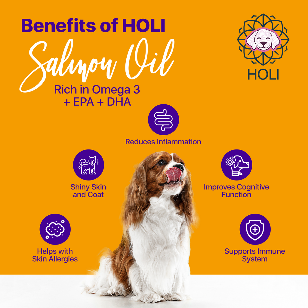 Salmon oil benefits infographic with dog icon and omega-3 EPA and DHA claims