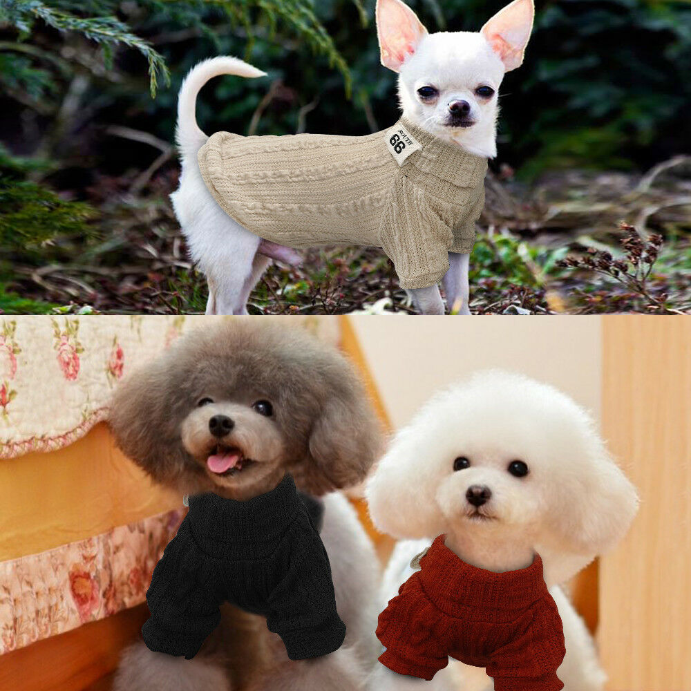 Small pets wearing knitted turtleneck sweaters with long sleeves