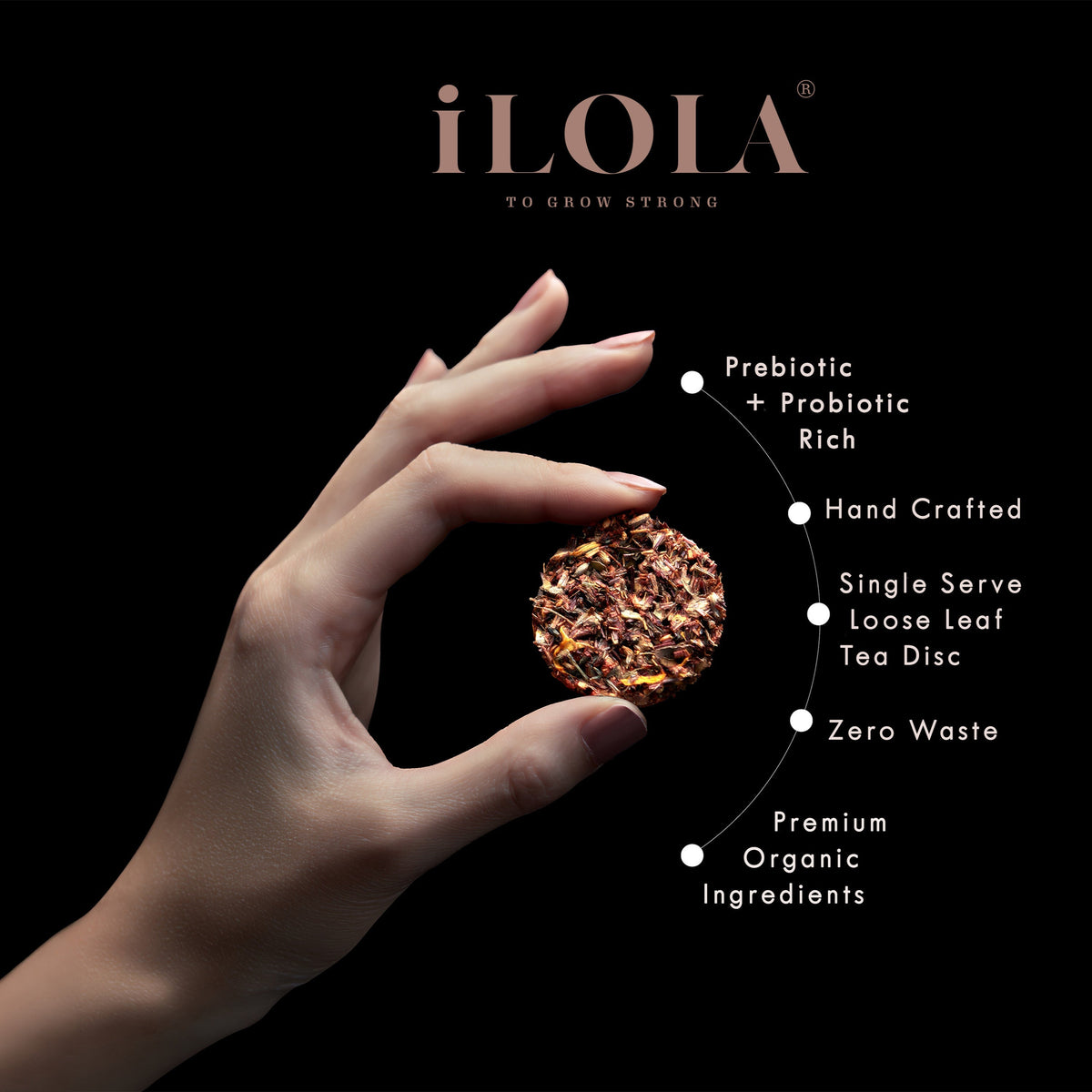 Handcrafted spiced white tea disc held between fingers