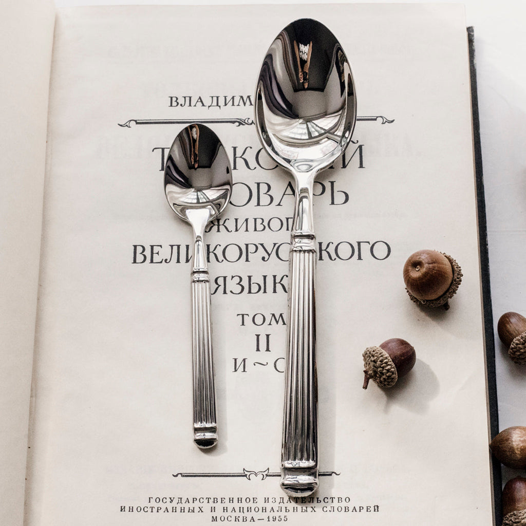 Stainless steel spoon and fork with Roman-column handles on an open book page