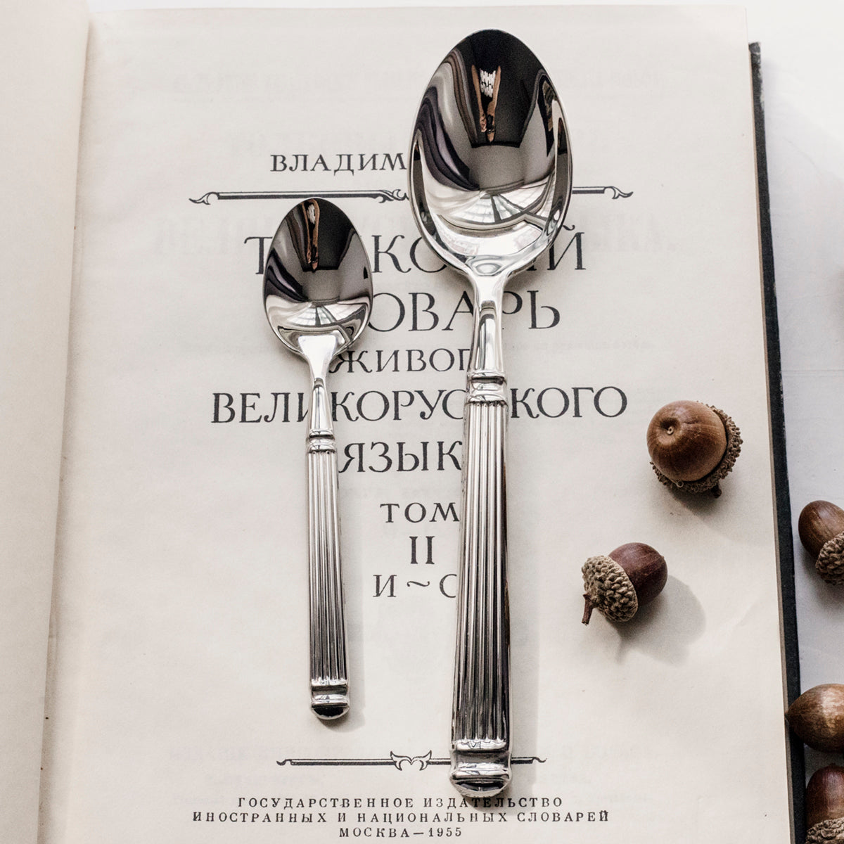 Stainless steel spoon and fork with Roman-column handles on an open book page