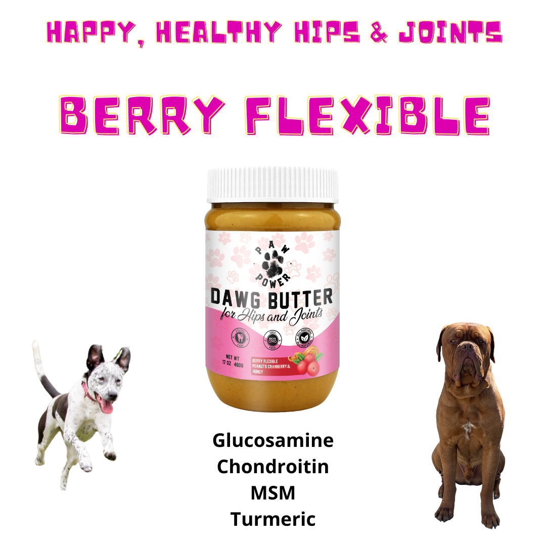 Dog supplement jar with white cap and berry flexible front label, with ingredient highlights