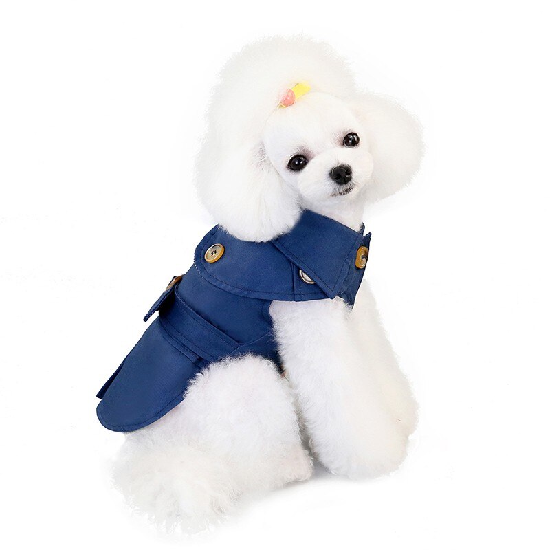 Blue pet jacket coat with button front, flap sleeves, and gold-tone accents