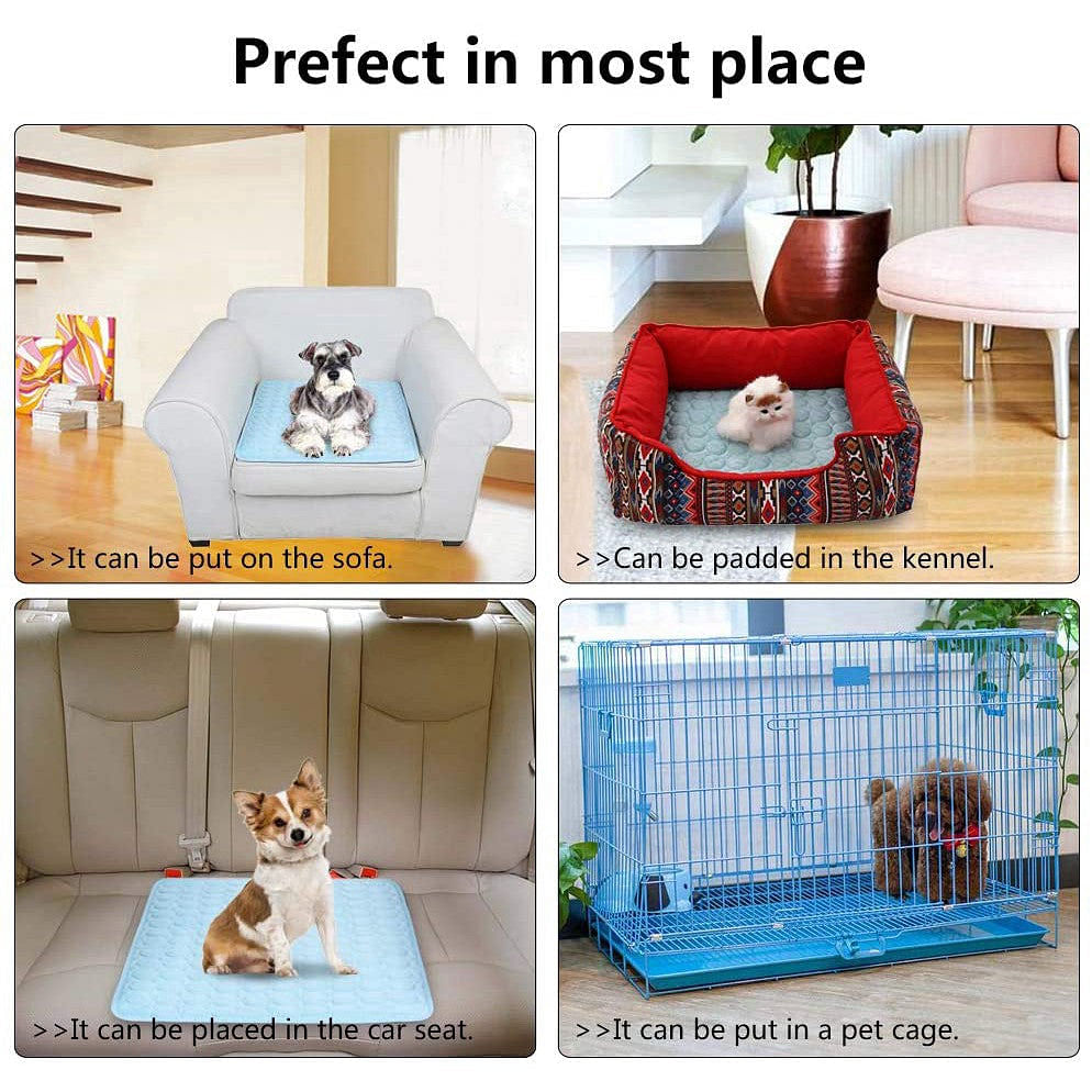Blue dog cool pad cushion mat shown on furniture with small dog resting