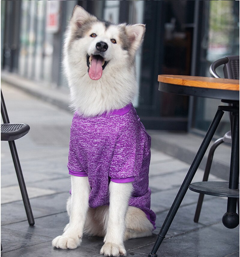 Purple heather winter pet sweater with high collar and long sleeves, snug fit
