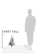 2-foot tall snow-frosted tabletop tree on stand with white flocked branches