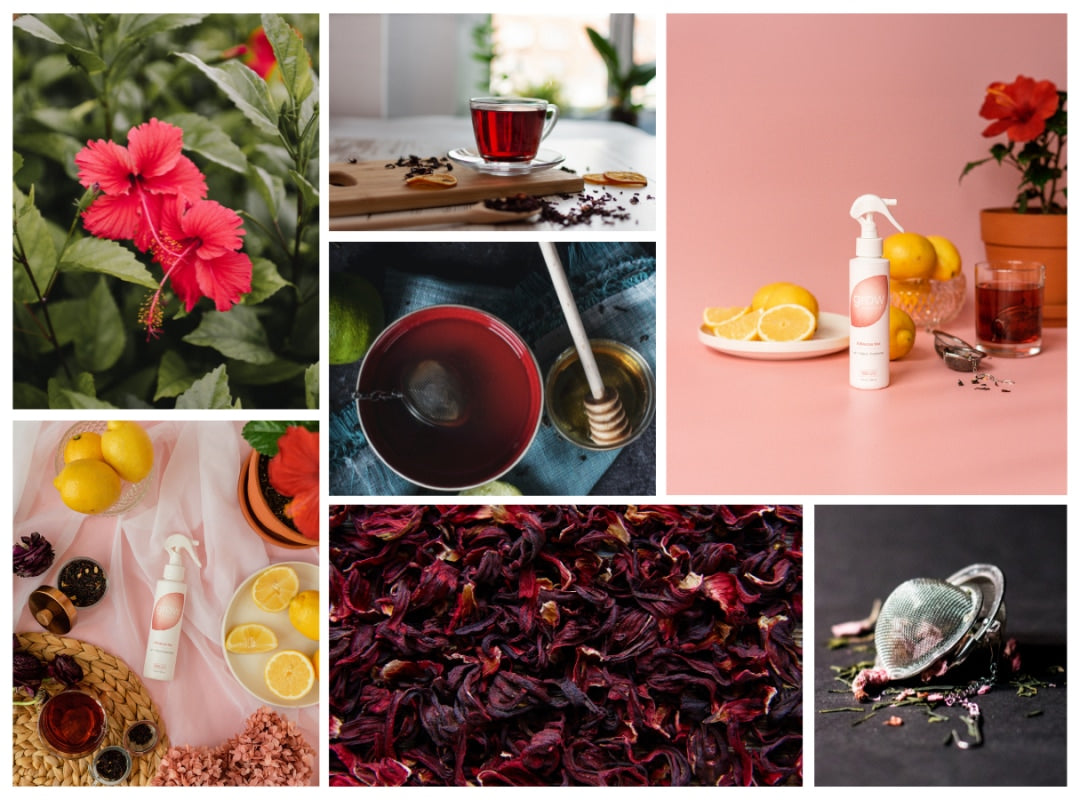 Hibiscus tea air and fabric spray bottle with white sprayer in collage use scenes
