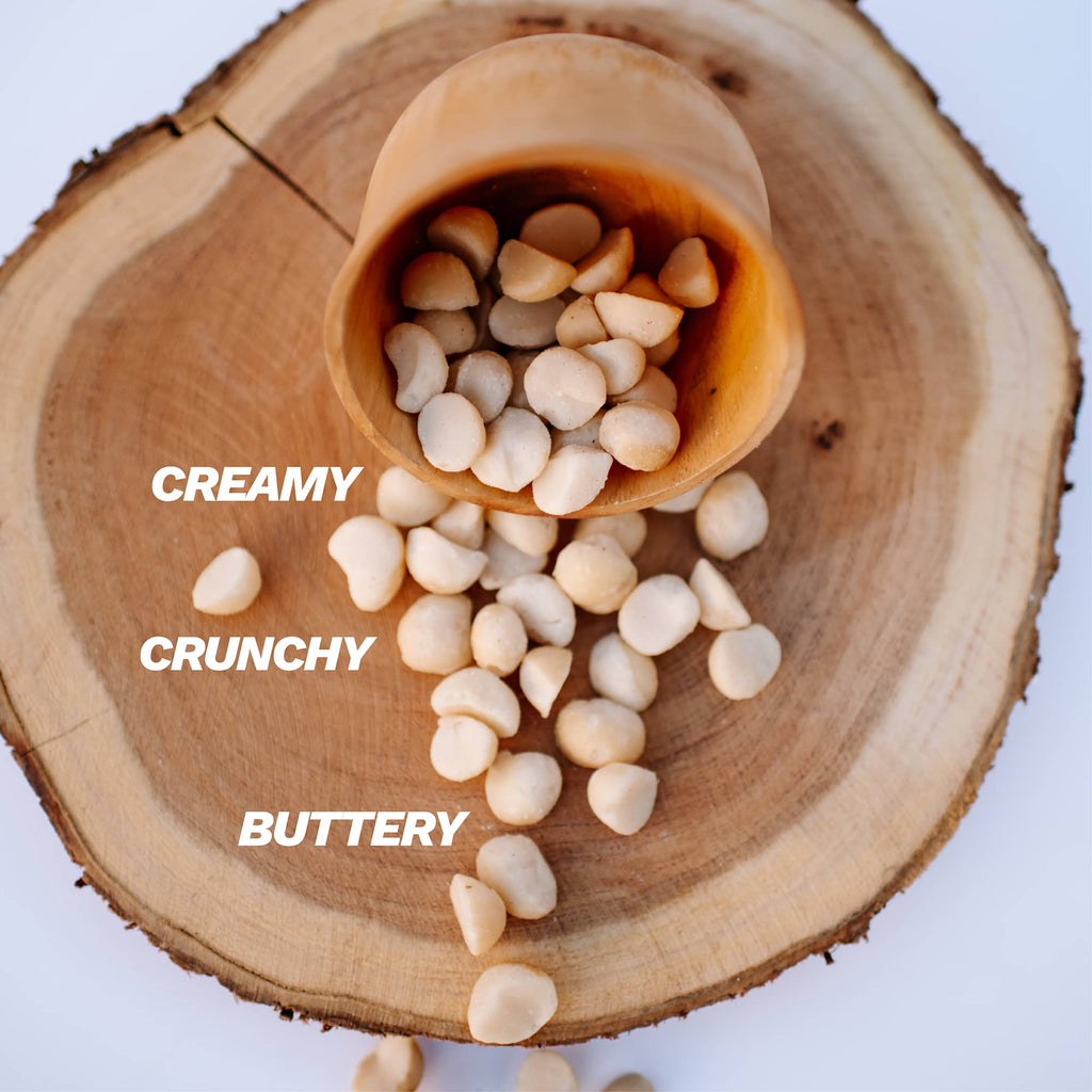 Raw macadamia nuts in wooden scoop, creamy off-white kernels