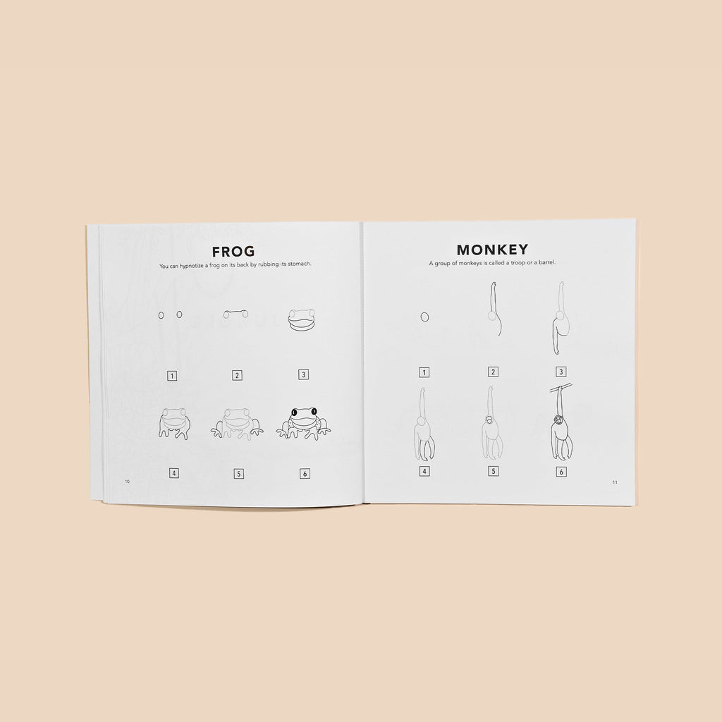 Open book spread with simple animal drawing guides labeled Frog and Monkey
