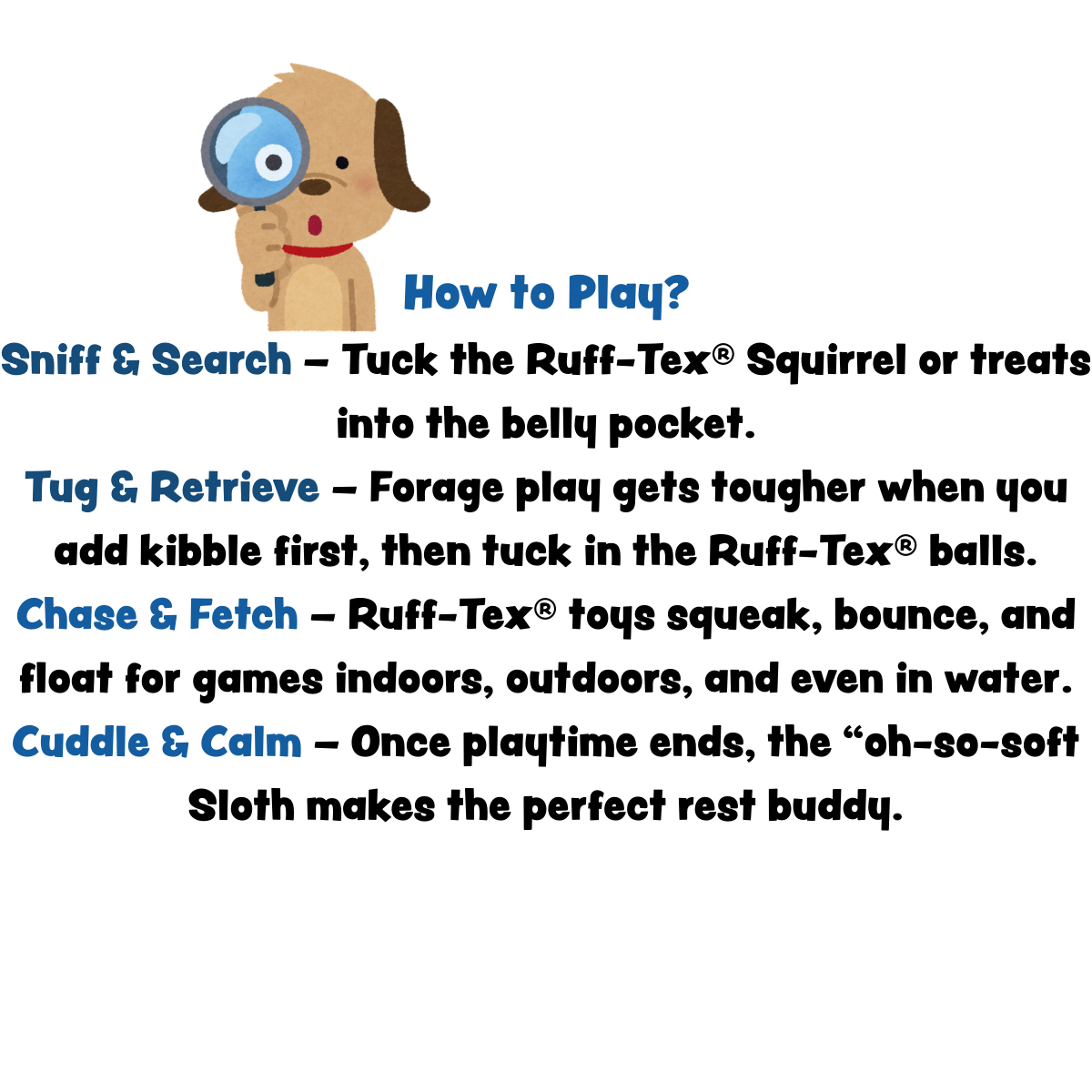 Packaging insert with how-to-play text and sloth and squirrel illustrations