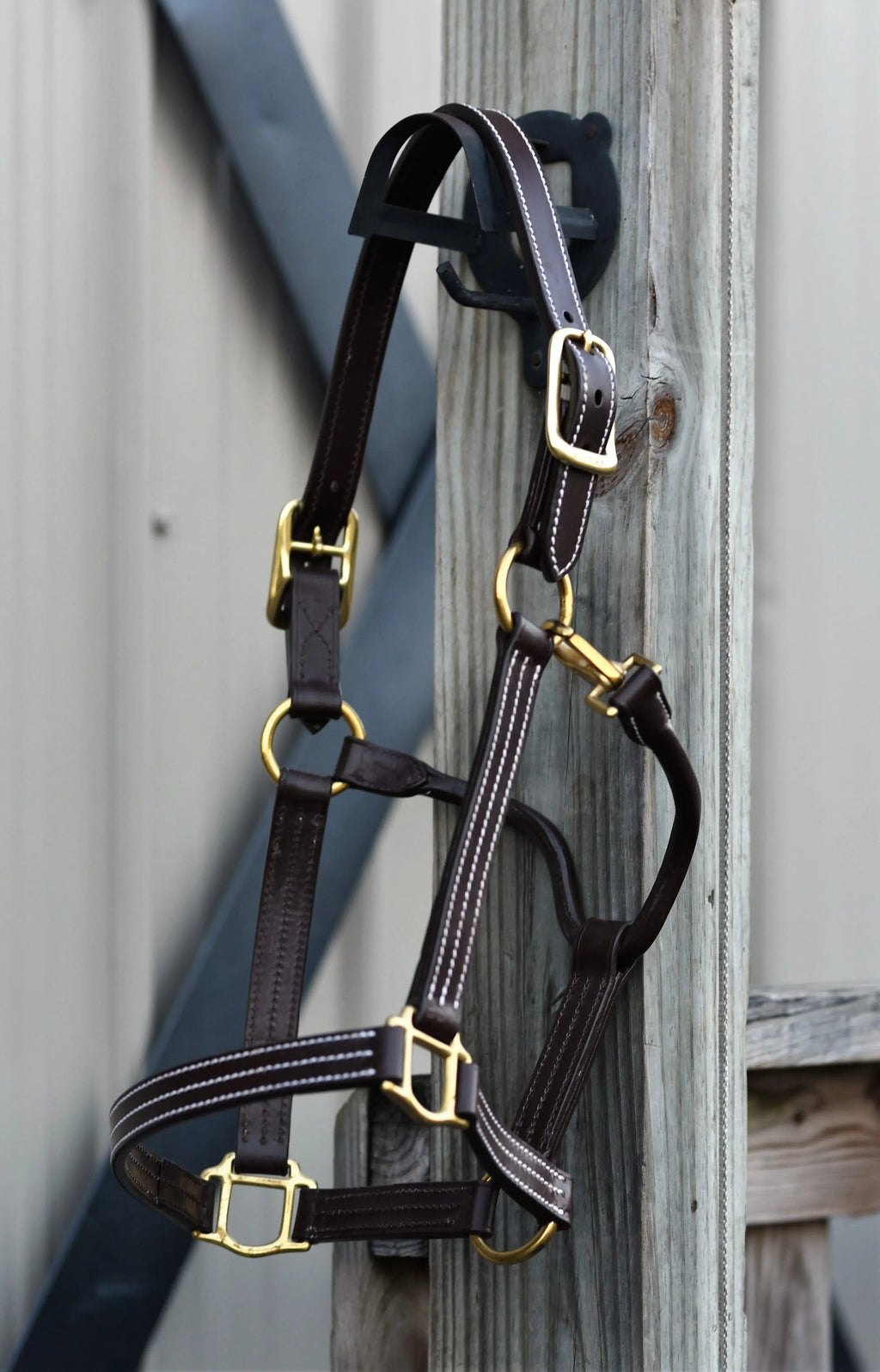 Leather halter with triple stitching and brass hardware hanging on a stable wall