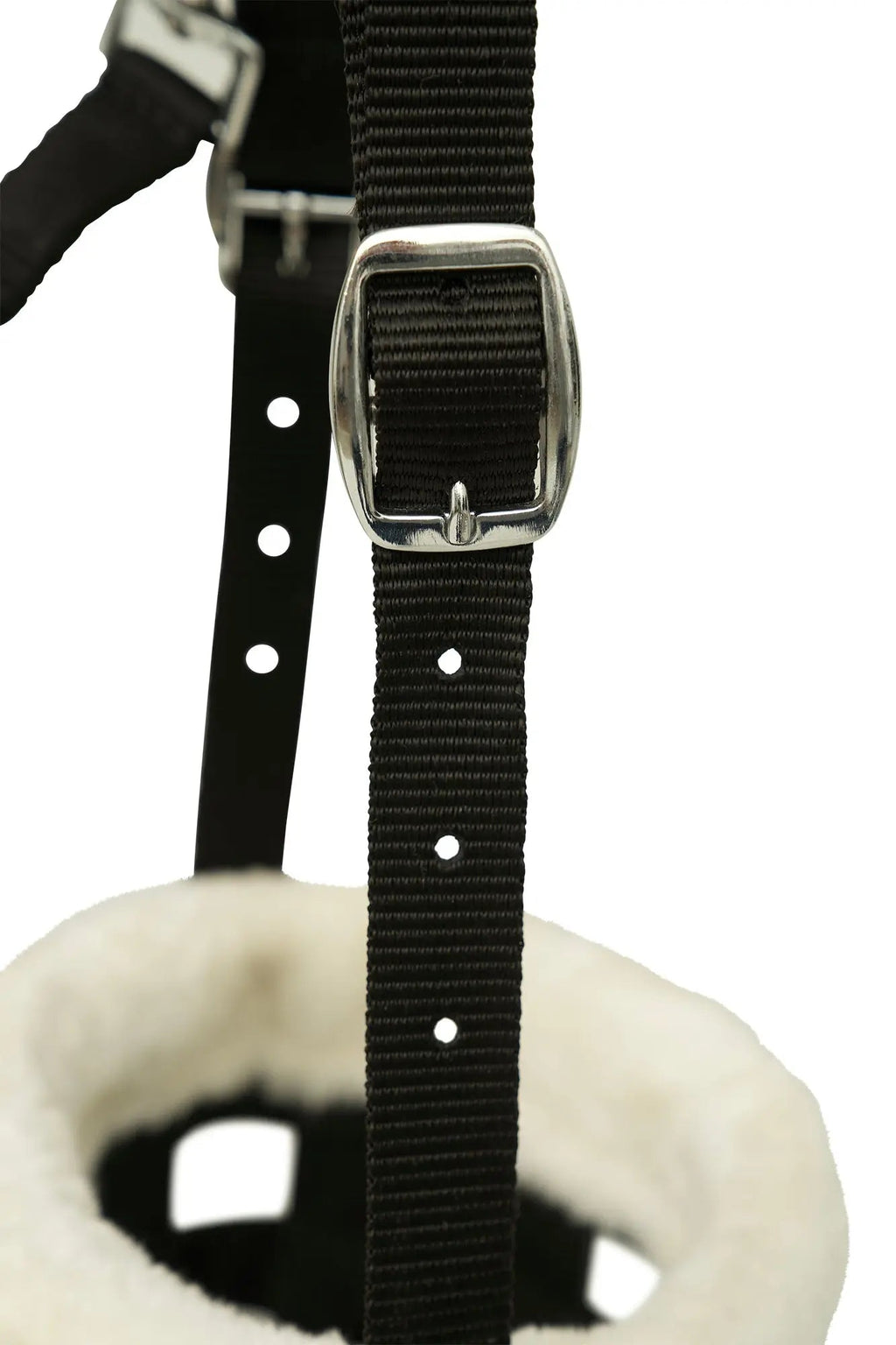 Adjustable black webbing strap with metal buckle over cream fleece muzzle padding
