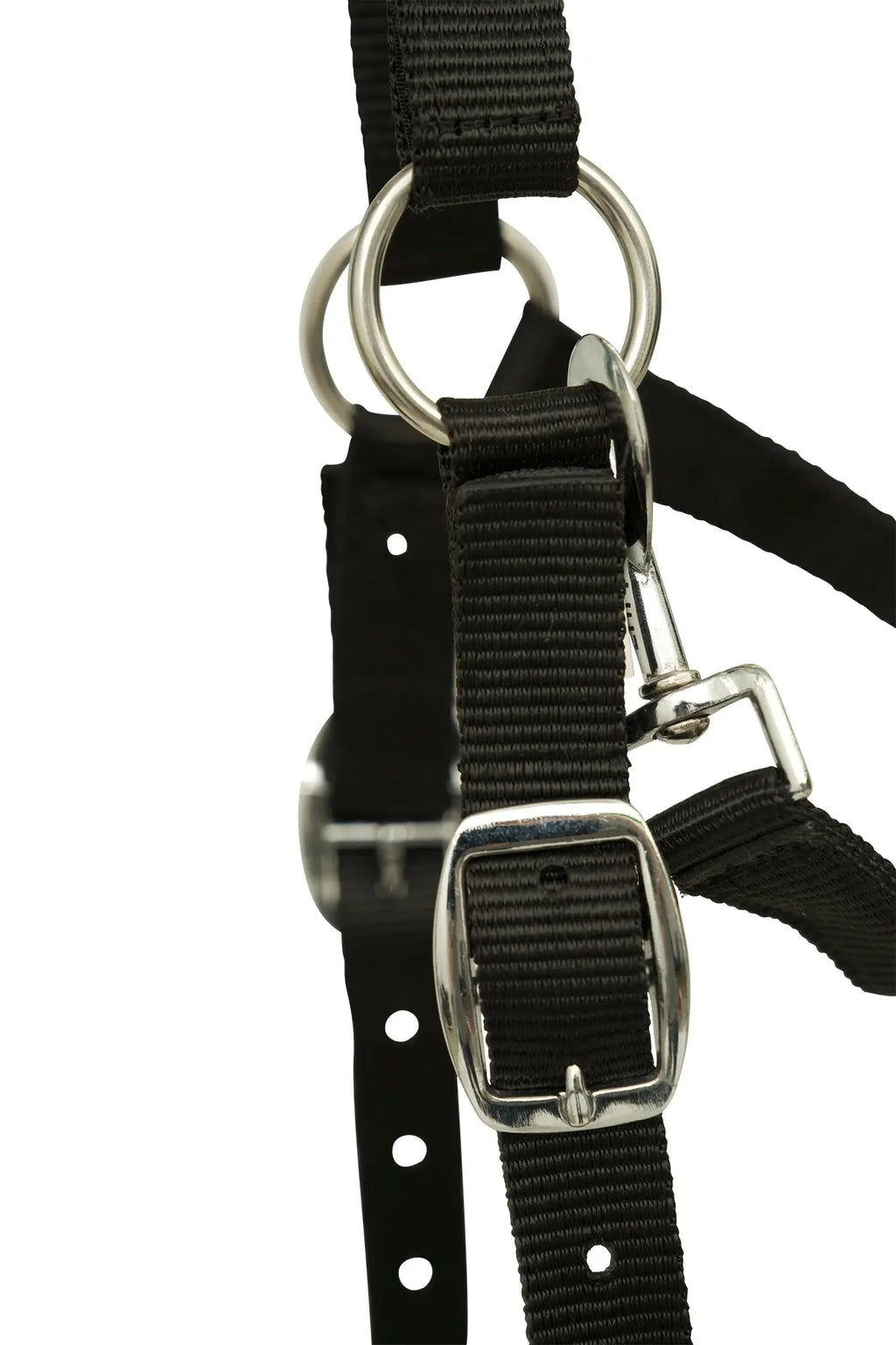 Black grazing muzzle with D-ring and dual buckles on webbing straps