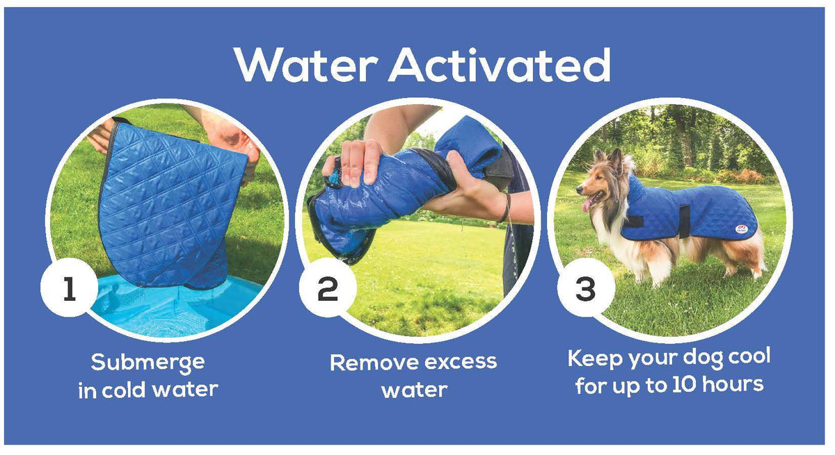 Water-activated cooling jacket steps graphic: submerge, remove water, keep dog cool