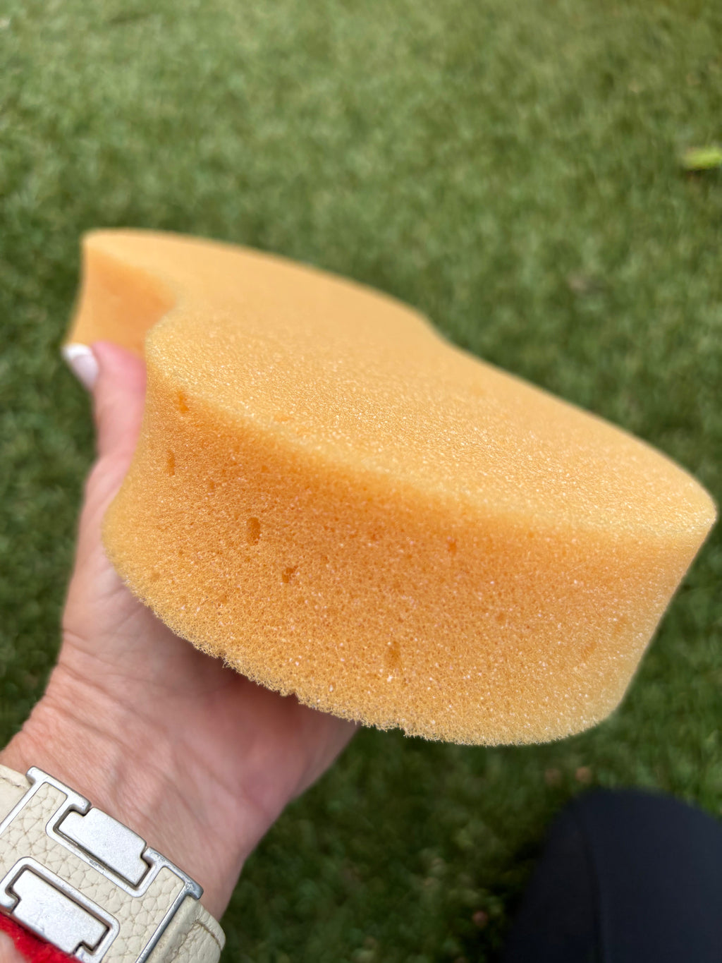 Orange sponge held in a hand, for cleaning or lathering