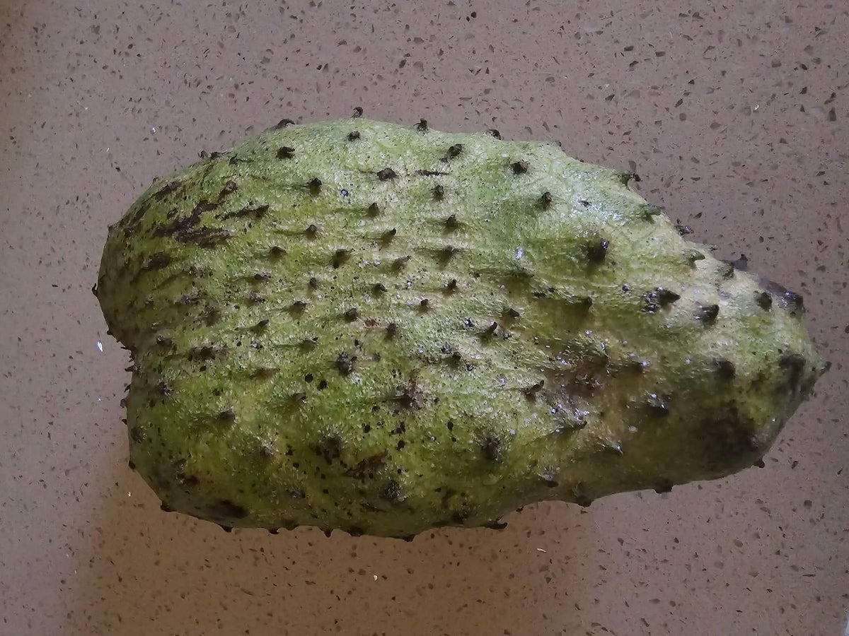 Soursop fruit, green with dark speckles