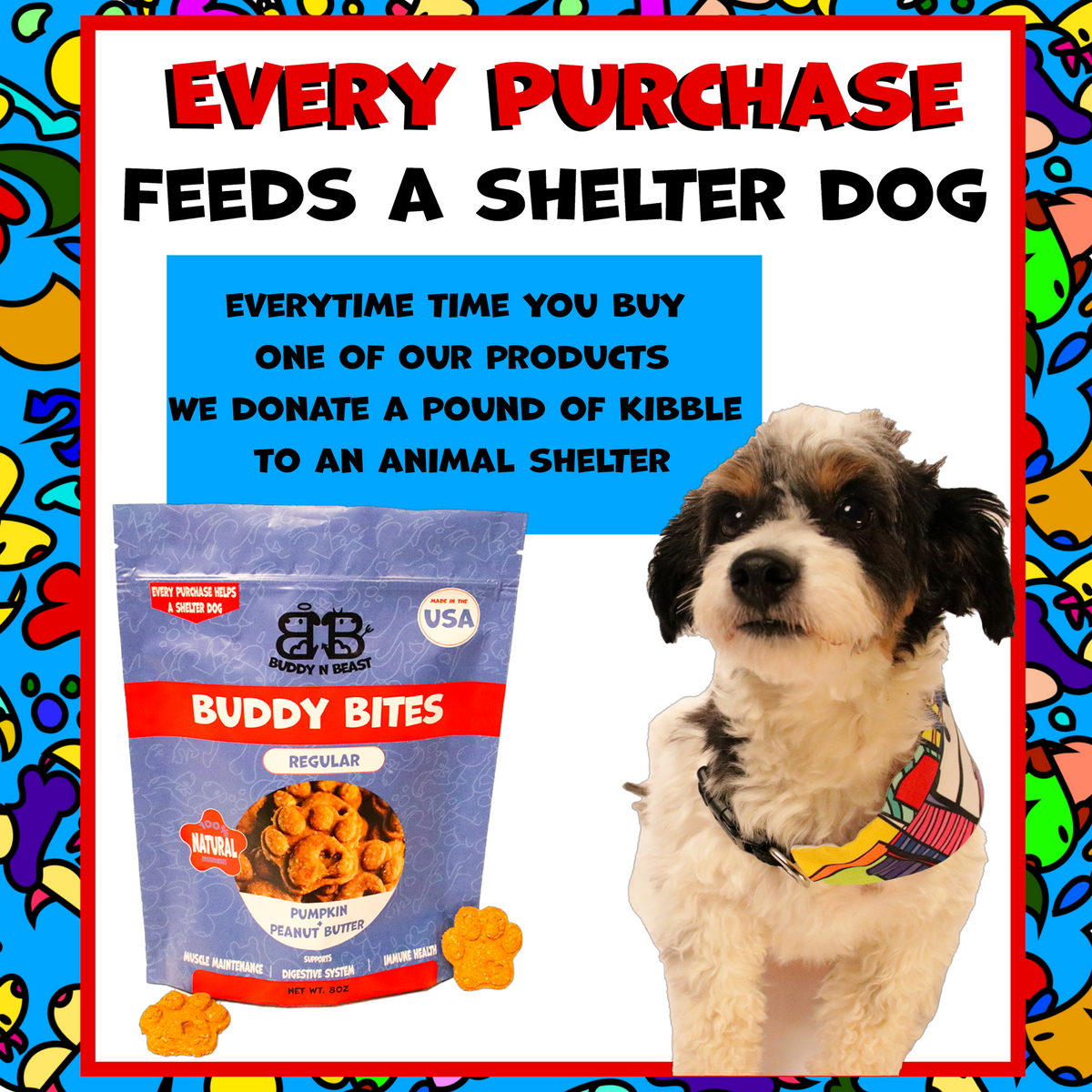 Dog treat pouch on shelter donation promotion with dog portrait