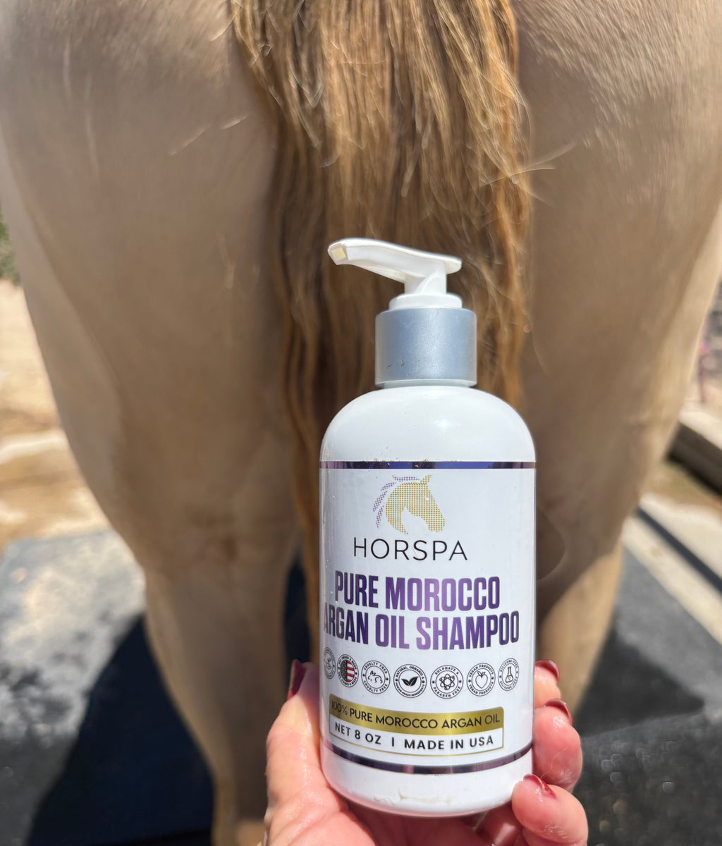 Argan oil shampoo bottle with white pump and purple label, held in front