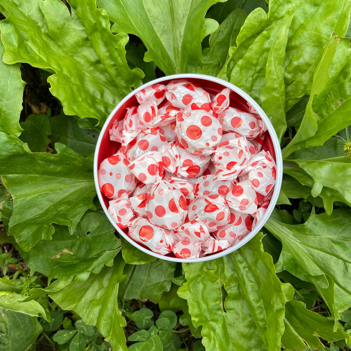 Tin filled with red-and-white wrapped lozenges in a white bowl