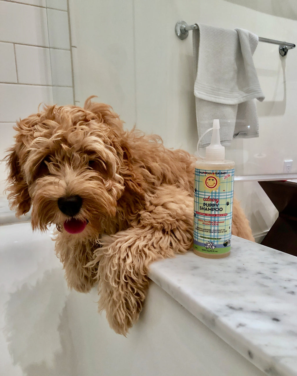 Puppy and dog wash bottle with pump on bathroom counter beside wet dog