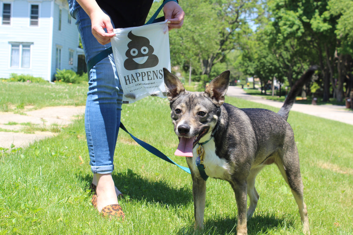 Biodegradable poop bag refill pouch held while walking a leashed dog