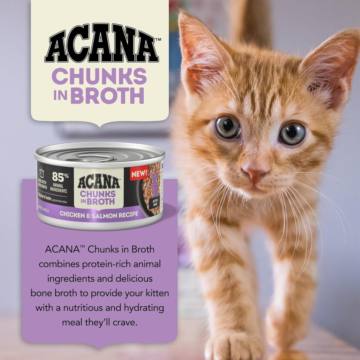 Acana wet cat food can with orange kitten, chicken & salmon chunks in broth