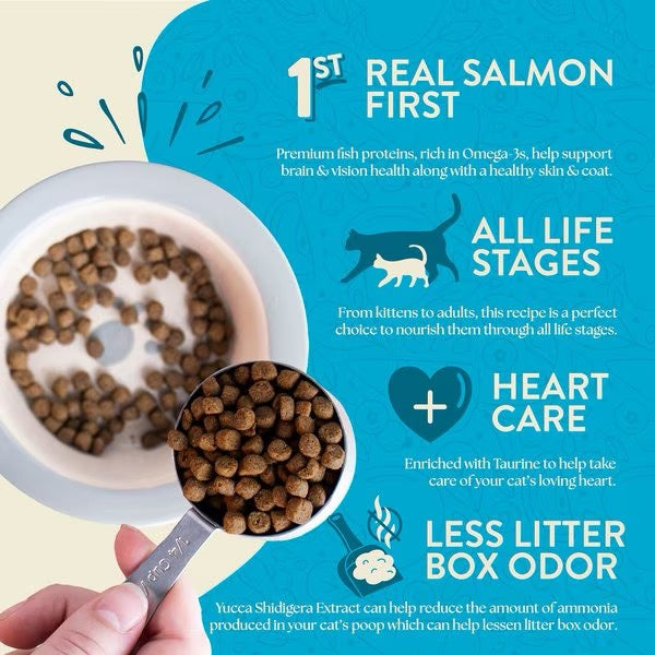 Dry cat food bag nutrition graphic with salmon, kibble bowl, and all life stages