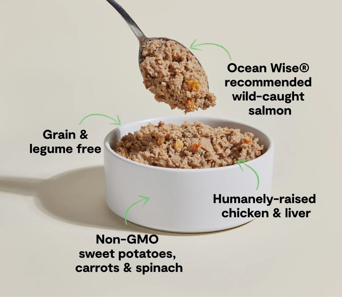 Grain-free chicken & salmon wet dog food pate in bowl with spoonful