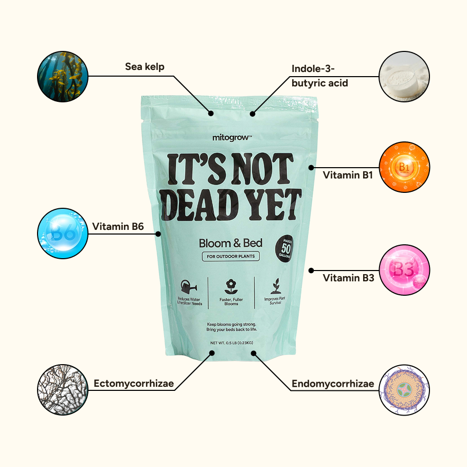 MitoGrow Bloom & Bed ingredient diagram with pouch and nutrient ingredient icons
