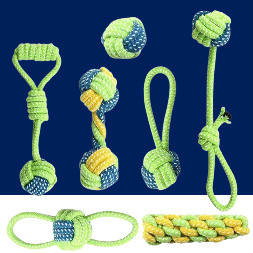 Cotton rope dog toy set with green and blue braided tug pieces and rope balls