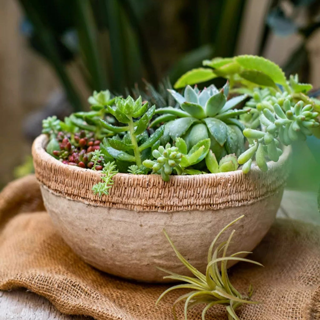 Cement planter with woven rattan rim and speckled concrete, round bowl