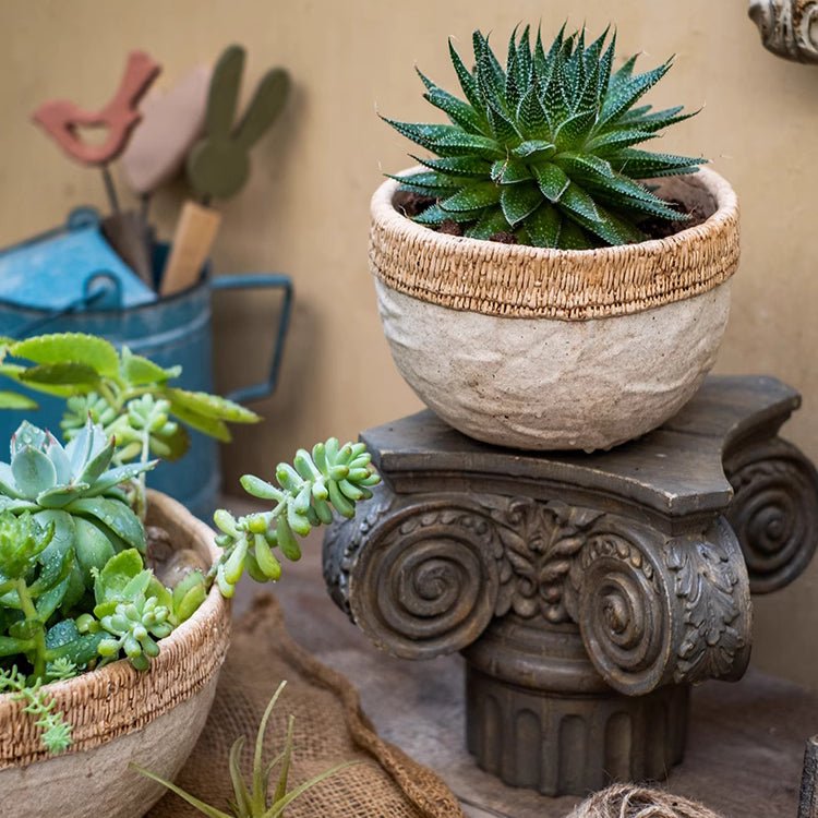 Cement planter with woven rattan rim on pedestal, round concrete bowl with succulent