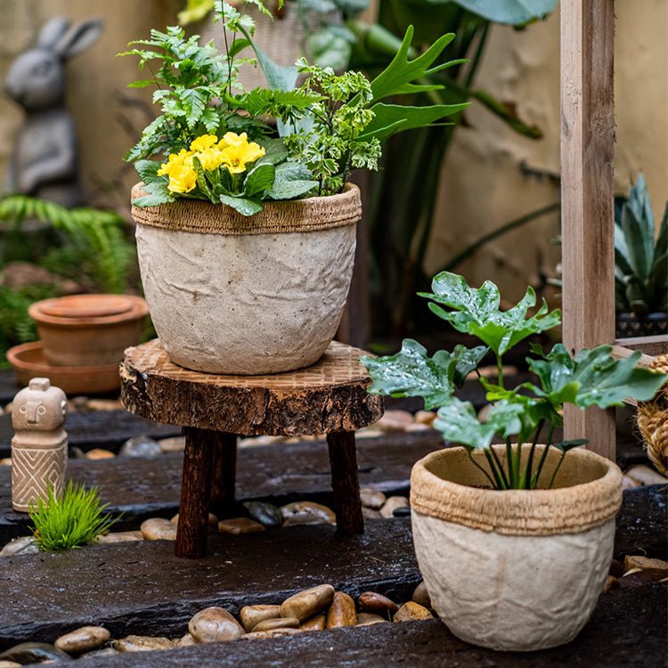 Cement planter with woven rattan rim, round speckled concrete bowl with small flowers