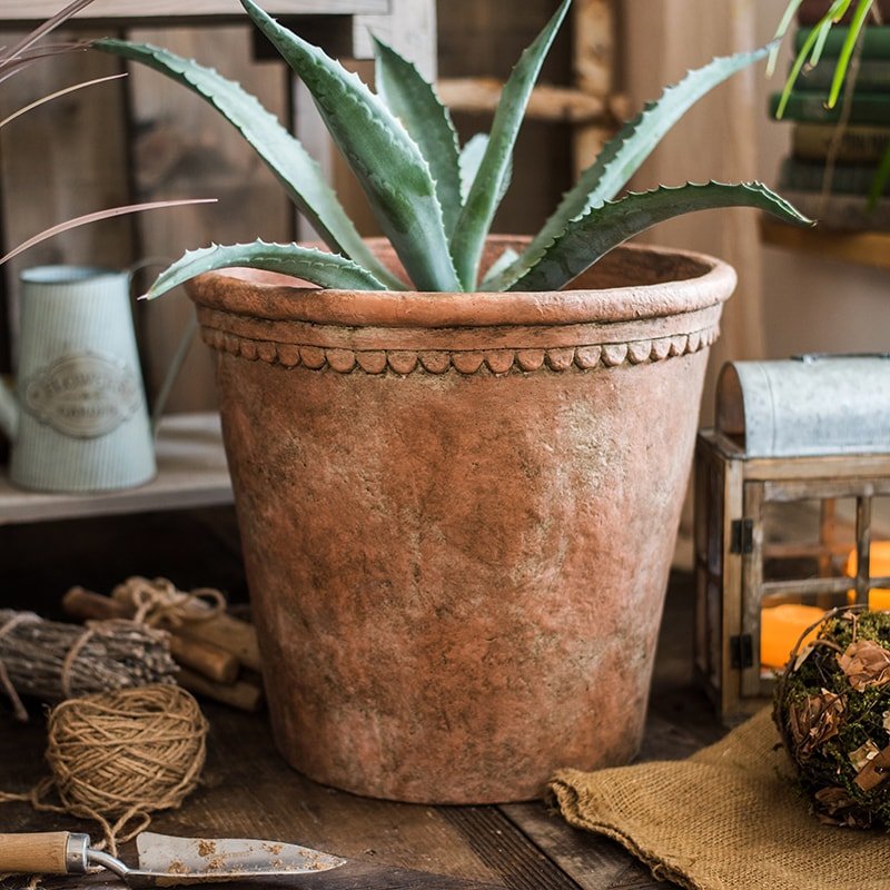 Terracotta red concrete planter pot with scalloped rim, holding a succulent plant