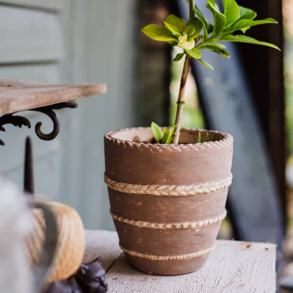 Round terracotta-toned planter with braided rope bands holding a small tree